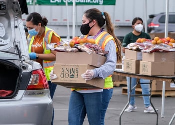 Food Distribution min